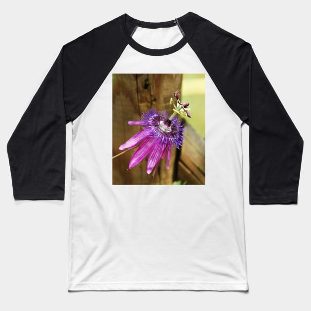 Lavender Lady Passiflora Baseball T-Shirt by jojobob